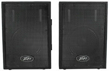Load image into Gallery viewer, Peavey DJ 2-Way 100 Watt PA Speaker System with 10" Woofers 2 Speakers PVi10
