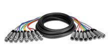 Load image into Gallery viewer, Hosa XLR-802, 8-Channel Male XLR to Female XLR Snake Cable - 2 Meter