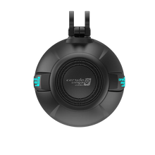 Load image into Gallery viewer, Cerwin Vega SH10F4B 2-Way 10" RPM Stroker Pod Speaker System Pair Black