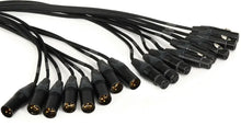 Load image into Gallery viewer, Mogami GOLD 8 XLR-XLR-100 8-channel XLR Male to XLR Female Snake Cable - 100 foot