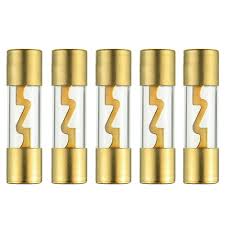 Absolute AGU100 5 Pack AGU Gold Standard Glass Fuses 100 Amp