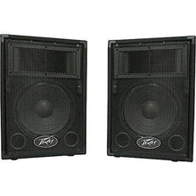 Load image into Gallery viewer, Peavey PVi10 Two 10" 100 Watt 2-Way Pro Audio Live Speakers Package