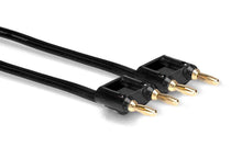 Load image into Gallery viewer, Hosa SKZ-630BB, Dual Banana Male to Dual Banana Male Speaker Cable (30 ft, Black)