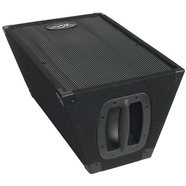 Peavey PVi10 Two 10" 100 Watt 2-Way Pro Audio Live Speakers Package