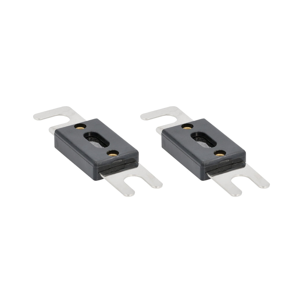 Raptor RANL100 MID SERIES MINI ANL Fuses