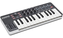 Load image into Gallery viewer, Samson SAKGRM25 Mini USB MIDI keyboard controller