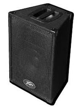 Load image into Gallery viewer, Peavey PVi10 Two 10" 100 Watt 2-Way Pro Audio Live Speaker System Pair
