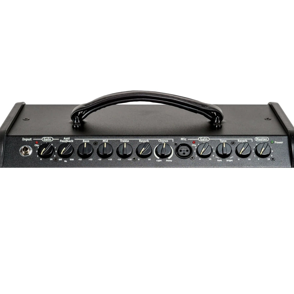 Traynor AMMINI 65 Watt Acoustic Amplifier