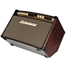 Load image into Gallery viewer, Traynor AMSTANDARD 150 Watt Stereo Acoustic Amplifier