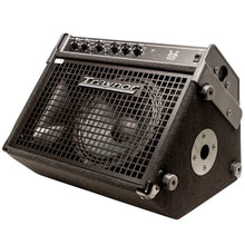 Load image into Gallery viewer, Traynor DW10 200 Watt Combo Drum Amplifier