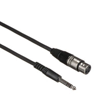 Load image into Gallery viewer, Apex APEX300 Dynamic Cardioid Microphone